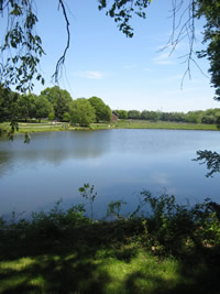 Image left
